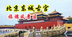 啊好骚大鸡鸡插逼里网站视频中国北京-东城古宫旅游风景区